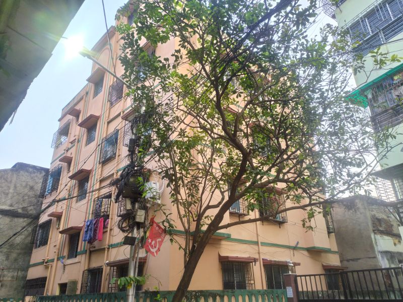Anadi Basu